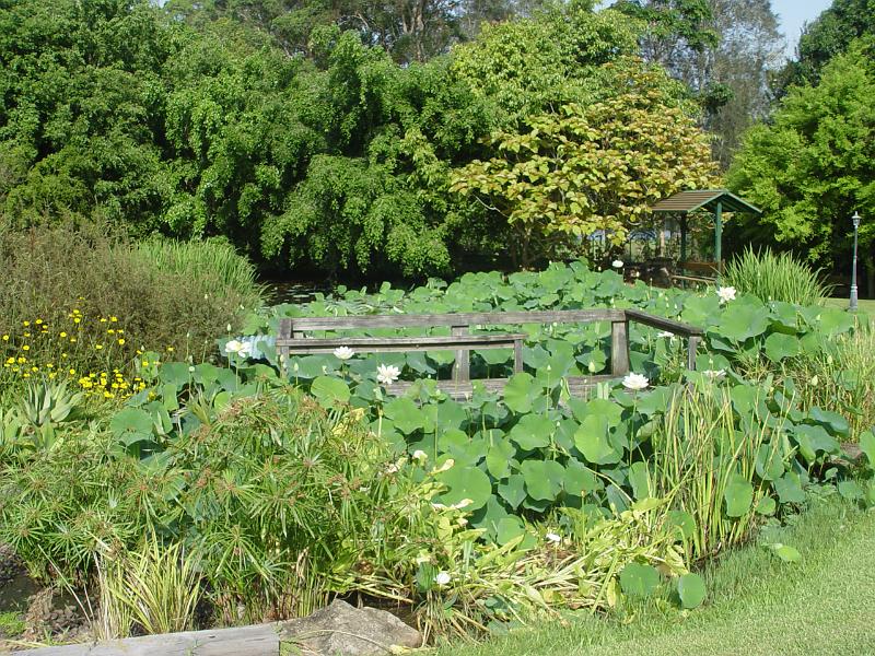 booroowhangary-nov09 066.jpg